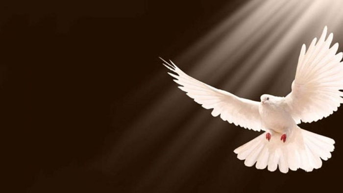 Oraciones al Espíritu Santo para Misas Espirituales
